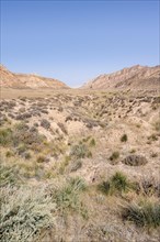 Dry eroded mountain landscape, At-Bashi Mountains, Naryn region, Kyrgyzstan, Asia