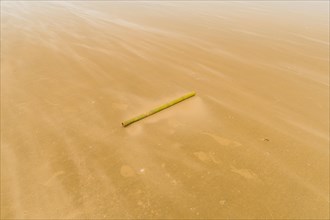 Solitary bamboo pole laying on windswept beach with streaks of sand being blown across the ground