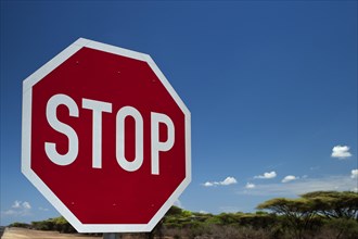 Stop, stop sign, traffic, traffic sign, rule, blue sky, traffic rules, stop, stop