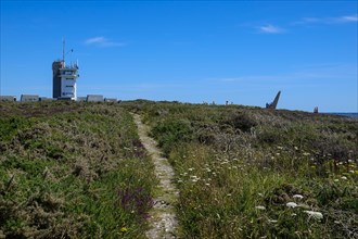 Heath landscape on the Cap de la Chevre, lighthouse, Crozon peninsula, Finistere department,