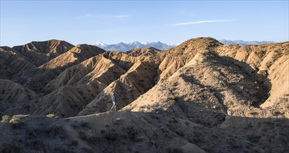 Hiker walks between canyons, behind mountains of the Tian Shan, eroded hilly landscape, badlands,