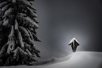 Winter forest with summit cross of the Burstkopf in a snowstorm against a dark sky, Balderschwang,