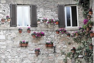 House facades, Assisi, Umbria, Italy, Europe