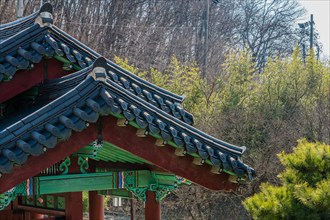Tilled roof of an oriental building with trees in the background at a local woodland park in South