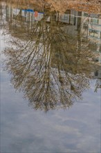 Reflection of buildings and trees in river water in river park on winter day