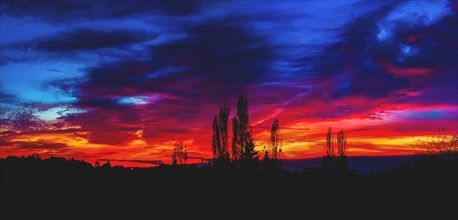 A dramatic sunset with bright red tones and silhouettes of trees on the horizon, Haan, North