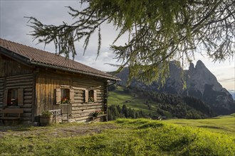 Alpine hut on the Seiser Alm, in the background the summit of the Schlern, Groednertal, Dolomites,