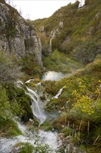 Plitvice Lakes National Park, protected forest area, Croatia, Europe