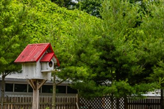 Closeup of white birdhouse with red roof on wooden stand with trees and white building in