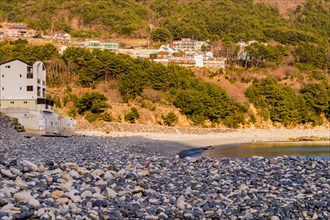 Landscape of Pebble beach in South Korea with buildings on a hill with lush green trees in the