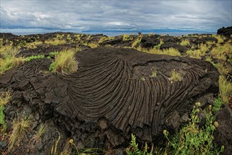 Large spiral lava formation with small tufts of grass under a cloudy sky, north coast, Santa Luzia,