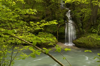 Erlauf, Erlauf Gorge, Purgstall an der Erlauf, Lower Austria