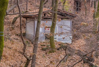 Wooden building wrapped in heavy duty plastic for use by hikers in mountainous woodland park