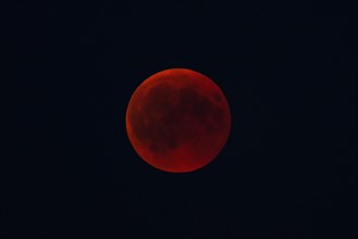 Intense red blood moon in the night sky, mystical atmosphere, Haan, North Rhine-Westphalia,