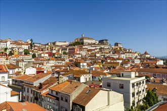 View at the town suburbs from above, Coimbra