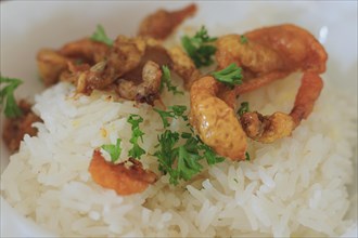 Close-up of a rice topped with fried crispy chicken skin or chicken chicharon and chopped parsley,