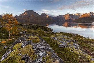 Reflection of Bergen in a fjord, autumn, morning light, Oksfjord, Troms, Finnmark, Norway, Europe