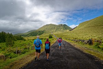 Three hikers on a path in a green volcanic landscape, Estradas dos Lagoas, Madalena, Pico, Azores,