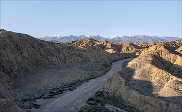 Dry riverbed, canyon, Tian Shan mountains in the background, eroded hilly landscape, badlands,