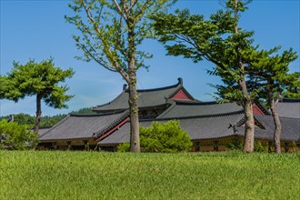 Tiled oriental roof tops in public park with trees and lush green grass under a blue sky