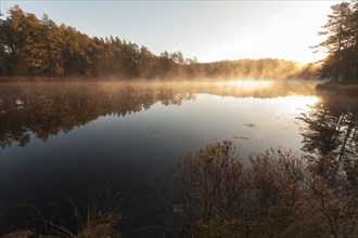 Tivedens National Park, Lake Metesjoen with sunrise in the fog