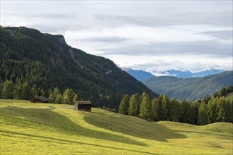 Landscape with alpine huts, Alpe di Siusi, high alpine pasture, Dolomites, South Tyrol, Italy,