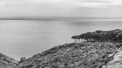 View of the Tyrrhenian Sea from the terrace of the Tenuta delle Ripalte winery, black and white