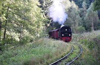 Steam locomotive of the Harz narrow-gauge railway runs through the Harz mountains, Saxony-Anhalt,