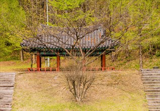 One large and one small leafless tree in front of a covered oriental pavilion with lush green