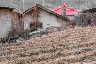 Selective color to emphasis house with a bright red roof behind old dilapidated house in a rural