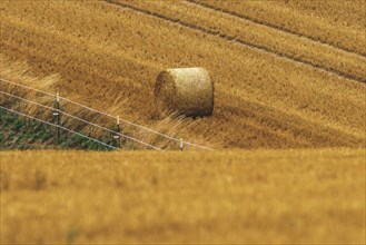Single bale of straw lying on a field with a fence in the foreground, Osterholz, Wuppertal, North