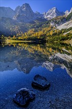 Reflection of steep mountains in a mountain lake, grazing light, autumn, larches, Seebensee,