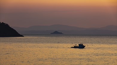 Seagulls circling a fishing boat in the Baia di Mola bay at sunrise, off Porto Azzurro, Elba,