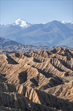 Canyons in desert landscape, mountains of the Tian Shan in the background, eroded hilly landscape,