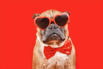 Cool French Bulldog dog wearing heart shaped Valentine's Day glasses and bow tie on red background