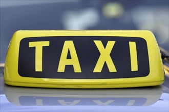 Taxi lettering