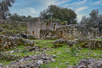 An ancient ruin in a rural landscape with olive trees and a cloudy sky, sky replaced, Aradena