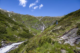 Mountaineer on a hiking trail by a mountain stream, Kesselbach, Berliner Hoehenweg, Zillertal Alps,