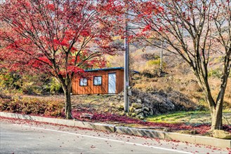 Storage shed on side of road in mountain park with trees in autumn colors