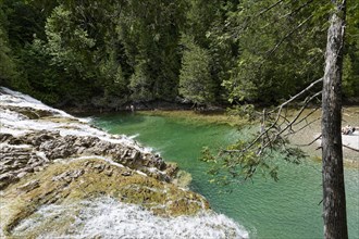 Emerald Falls, Portage River, Gaspesie, Province of Quebec, Canada, North America