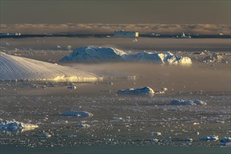 Icebergs in the fog, midnight sun, summer, Ilulissat Icefjord, Disko Bay, Jakobshavn Glacier,