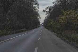 A straight country road, lined with trees and under a grey autumn sky, abandoned A4 motorway, Lost