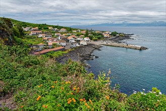 Village on the coast with houses near a jetty and surrounded by green vegetation, lava rocks