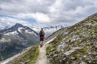 Mountaineer on hiking trail, Berliner Hoehenweg, mountain landscape with glaciated peaks Hochfeiler