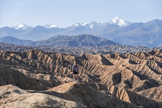 Hiker walking along a canyon, Tian Shan mountains in the background, eroded hilly landscape,