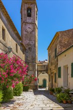 Church tower of Sant'ilario in Campo, Elba, Tuscan Archipelago, Tuscany, Italy, Europe
