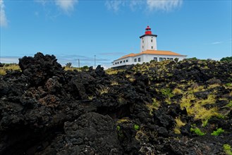 Lighthouse Farol da Ponta da Iha surrounded by dark volcanic rocks and green vegetation in