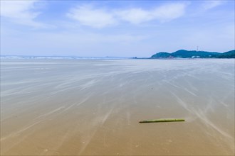 Solitary bamboo pole laying on windswept beach on cold morning with ocean waves and blue sky in