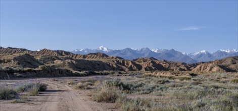 Off-road road in a canyon, mountains of the Tian Shan in the background, eroded hilly landscape,