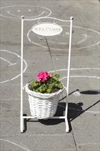 White flower pot with flowers and frame with the inscription Welcome standing on the street,